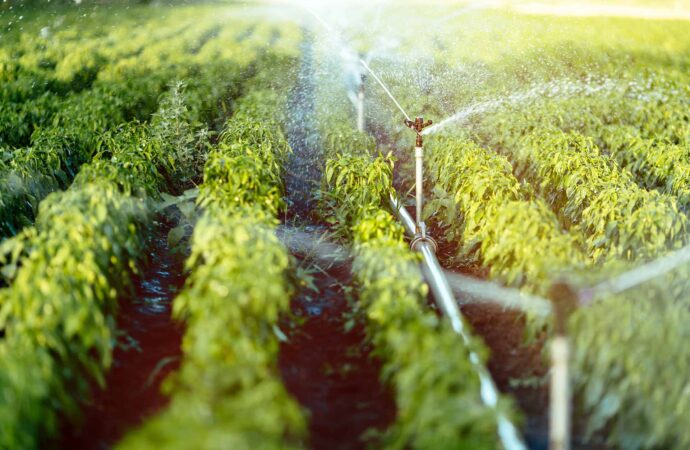 Irrigation Installation & Repairs-Woodlands TX Landscape Designs & Outdoor Living Areas-We offer Landscape Design, Outdoor Patios & Pergolas, Outdoor Living Spaces, Stonescapes, Residential & Commercial Landscaping, Irrigation Installation & Repairs, Drainage Systems, Landscape Lighting, Outdoor Living Spaces, Tree Service, Lawn Service, and more. Irrigation Installation & Repairs-Woodlands TX Landscape Designs & Outdoor Living Areas-We offer Landscape Design, Outdoor Patios & Pergolas, Outdoor Living Spaces, Stonescapes, Residential & Commercial Landscaping, Irrigation Installation & Repairs, Drainage Systems, Landscape Lighting, Outdoor Living Spaces, Tree Service, Lawn Service, and more.