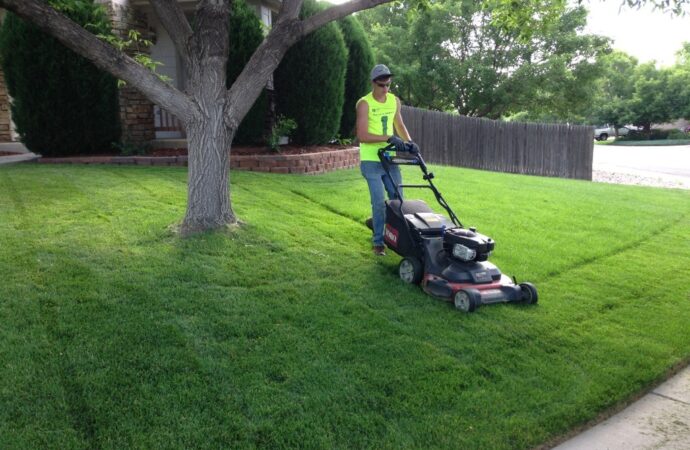 Lawn Service-Woodlands TX Landscape Designs & Outdoor Living Areas-We offer Landscape Design, Outdoor Patios & Pergolas, Outdoor Living Spaces, Stonescapes, Residential & Commercial Landscaping, Irrigation Installation & Repairs, Drainage Systems, Landscape Lighting, Outdoor Living Spaces, Tree Service, Lawn Service, and more.