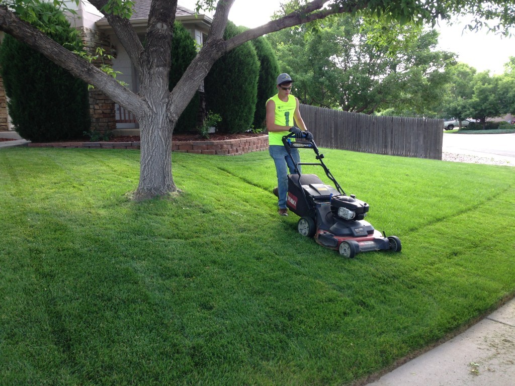 Lawn Service-Woodlands TX Landscape Designs & Outdoor Living Areas-We offer Landscape Design, Outdoor Patios & Pergolas, Outdoor Living Spaces, Stonescapes, Residential & Commercial Landscaping, Irrigation Installation & Repairs, Drainage Systems, Landscape Lighting, Outdoor Living Spaces, Tree Service, Lawn Service, and more.