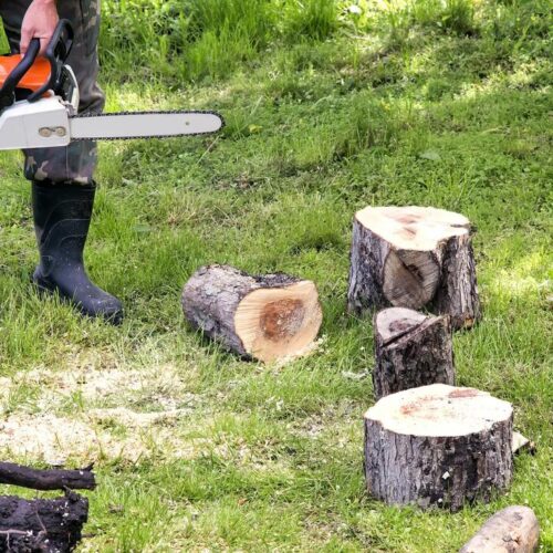 Tree Service-Woodlands TX Landscape Designs & Outdoor Living Areas-We offer Landscape Design, Outdoor Patios & Pergolas, Outdoor Living Spaces, Stonescapes, Residential & Commercial Landscaping, Irrigation Installation & Repairs, Drainage Systems, Landscape Lighting, Outdoor Living Spaces, Tree Service, Lawn Service, and more.