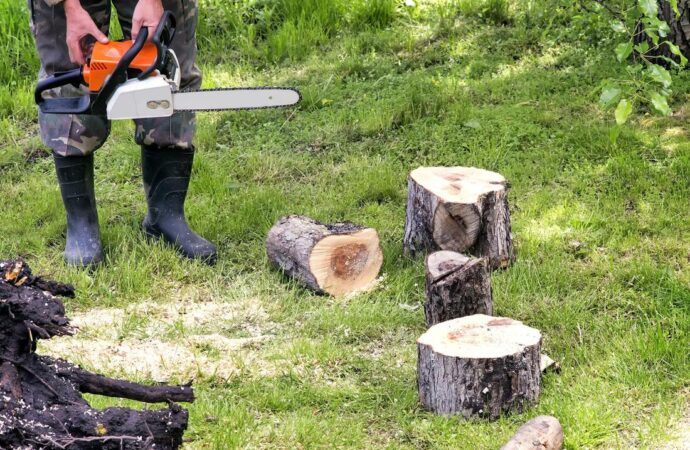 Tree Service-Woodlands TX Landscape Designs & Outdoor Living Areas-We offer Landscape Design, Outdoor Patios & Pergolas, Outdoor Living Spaces, Stonescapes, Residential & Commercial Landscaping, Irrigation Installation & Repairs, Drainage Systems, Landscape Lighting, Outdoor Living Spaces, Tree Service, Lawn Service, and more. Tree Service-Woodlands TX Landscape Designs & Outdoor Living Areas-We offer Landscape Design, Outdoor Patios & Pergolas, Outdoor Living Spaces, Stonescapes, Residential & Commercial Landscaping, Irrigation Installation & Repairs, Drainage Systems, Landscape Lighting, Outdoor Living Spaces, Tree Service, Lawn Service, and more.